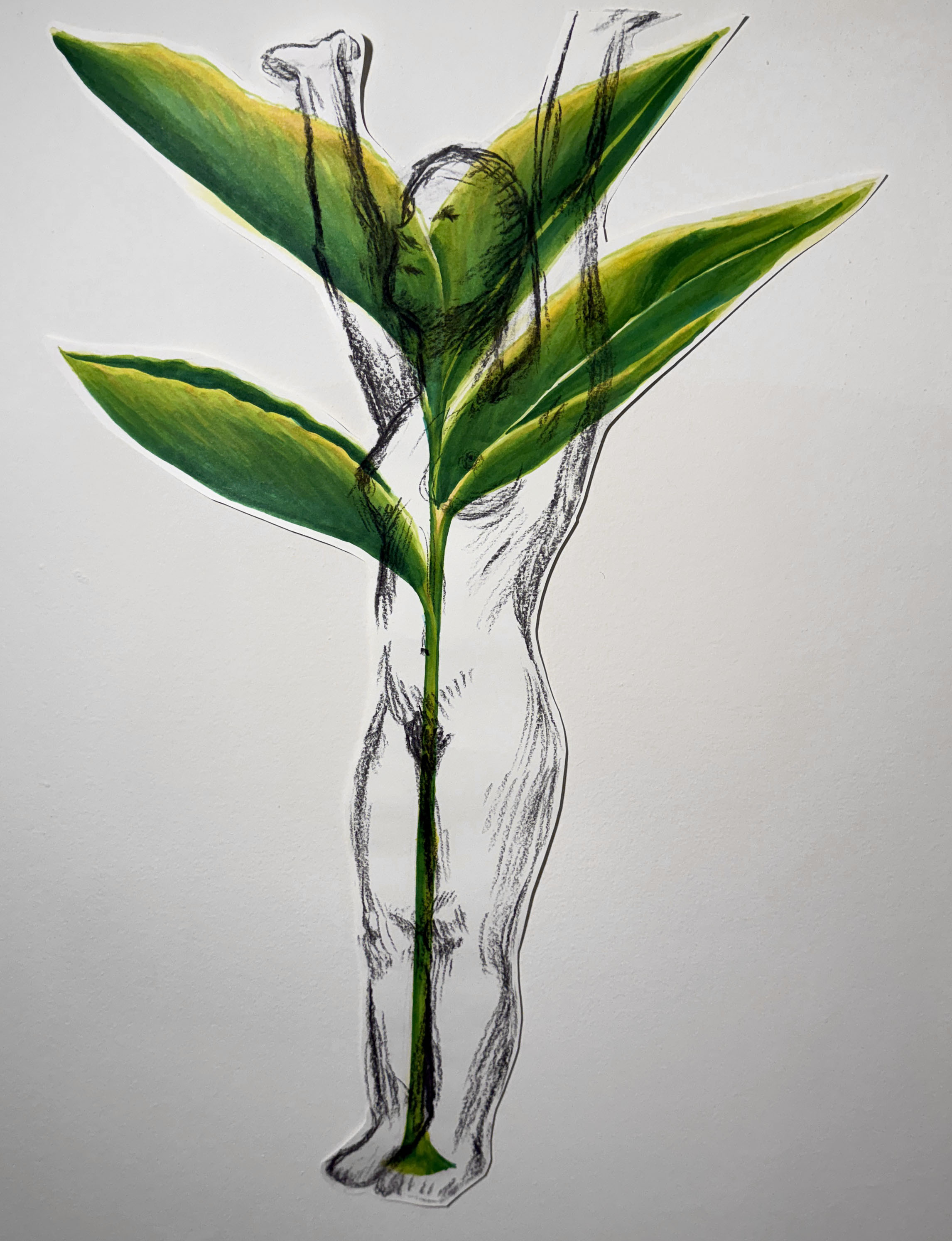 A drawing of a human figure overlaid on a drawing of a bright green plant.